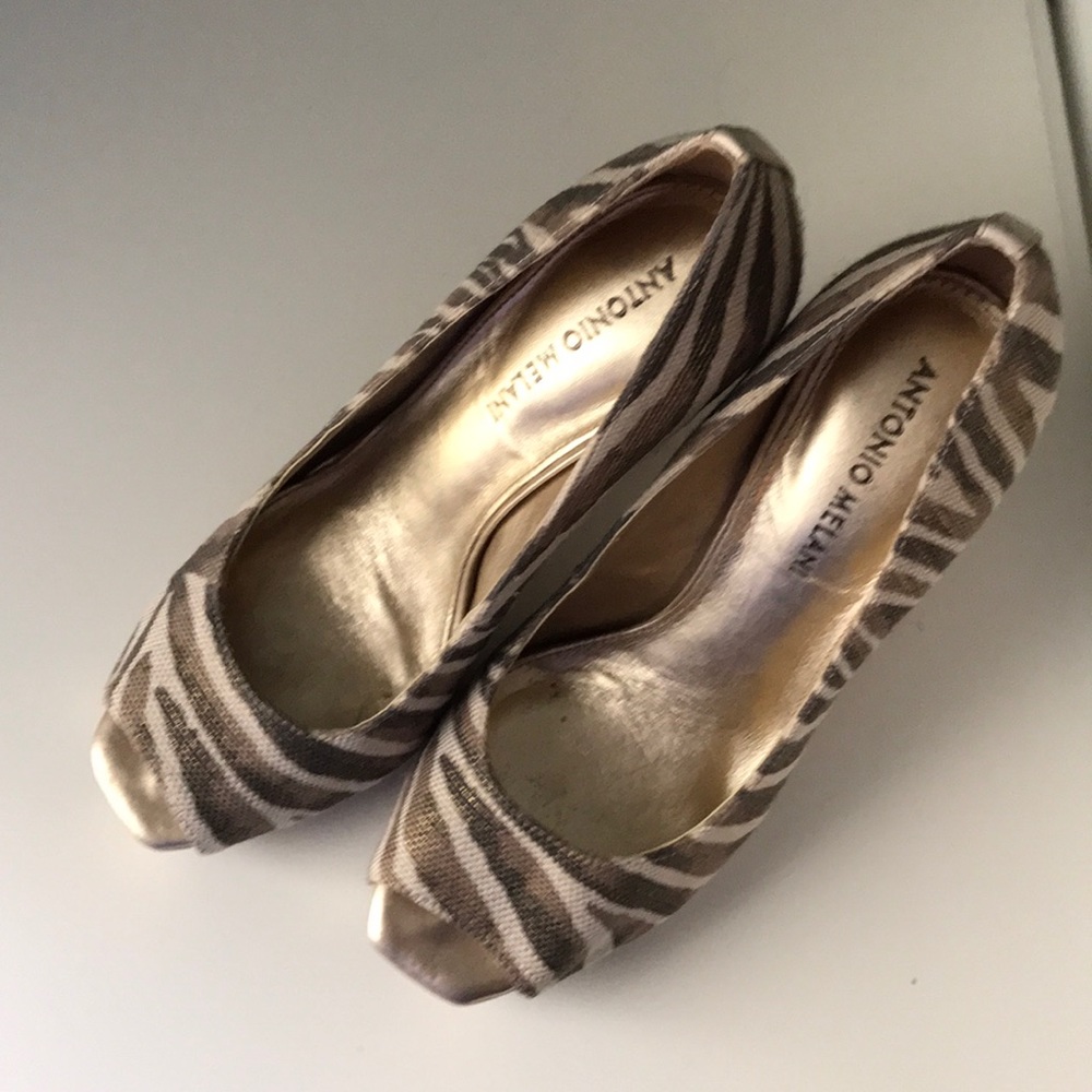 Shoe